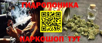 кокс Можайск