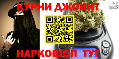 Альфа ПВП Можга