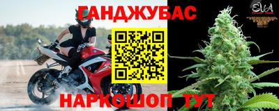 Альфа ПВП Можга