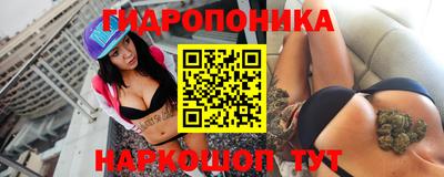 кокс Можайск